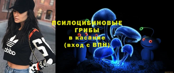 амф Алексеевка