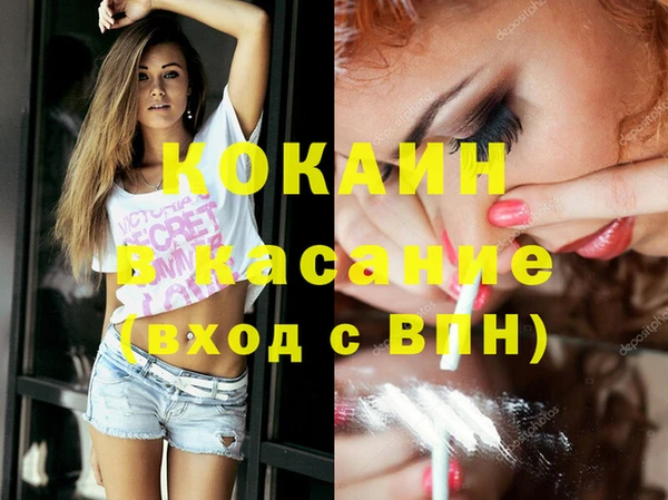 apvp Алексин