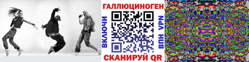 Псилоцибиновые грибы Psilocybine cubensis  Биробиджан 